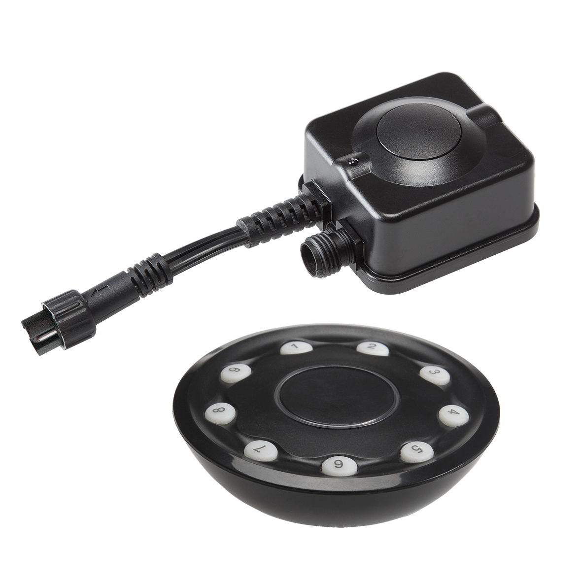 12V afstandsbediening en ontvanger (max 150W) Garden Lights