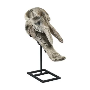 Decoratie Schedel Furnilux – Beige Wit Poly – Antiek Design