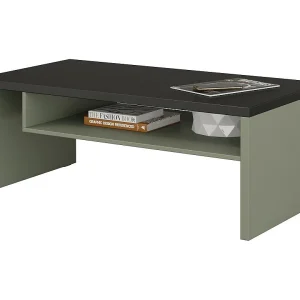Salontafel HAVANA – Saliegroen en zwart – Matzwart blad – Met nis – Modern ontwerp