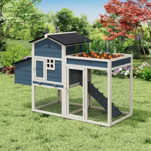 Kippenhok met omheining en moestuin – 4 kippen – H109 cm – Blauw en wit – CAMPORA Kippenhok met omheining en moestuin – 4 kippen – H109 cm – Blauw en wit – CAMPORA