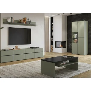 Set van 4 meubels collectie HAVANA in saliegroen. XL TV-meubel, vitrinekast, salontafel, boekenkast Set van 4 meubels collectie HAVANA in saliegroen. XL TV-meubel, vitrinekast, salontafel, boekenkast