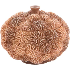 Deco box+deksel CORAL – Ø20×15.5cm – Bruin Deco box+deksel CORAL – Ø20×15.5cm – Bruin