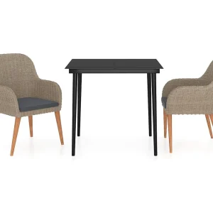 Coole 3-delige Tuinset met kussens bruin Coole 3-delige Tuinset met kussens bruin