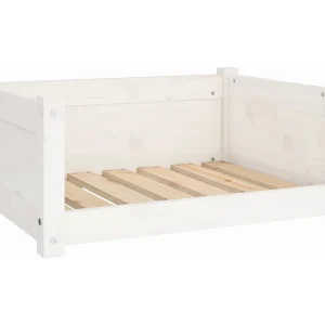 Chatham  Hondenbed Wit 65,5×50,5×28 cm Massief grenenhout