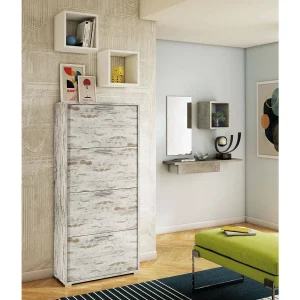Dmarcat schoenenrek, multifunctioneel entreemeubilair met 4 vouwdeuren, schoenenkast met dubbele diepte, 100% Made in Italy, 67x28h147 cm, Vintage Dmarcat schoenenrek, multifunctioneel entreemeubilair met 4 vouwdeuren, schoenenkast met dubbele diepte, 100% Made in Italy, 67x28h147 cm, Vintage