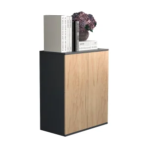 Ladekast dressoir Dalosa 2 draaideuren