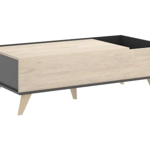 Dmora Salontafel Cuna 60x99x41h cm Antraciet Zwart, Opbergruimte, Rechthoekige Vorm