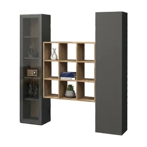 Ddacru Dressoir, Woonkamerset met 2 deuren en planken, Woonkamerbuffet, Keukendressoir, 100% Made in Italy, 170x30h180 cm, Antraciet en Esdoorn Ddacru Dressoir, Woonkamerset met 2 deuren en planken, Woonkamerbuffet, Keukendressoir, 100% Made in Italy, 170x30h180 cm, Antraciet en Esdoorn