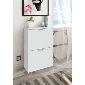 Dmoretto schoenenrek, Ruimtebesparend schoenenrek met 2 deuren, Ingang schoenenrek, Schoenenrek kledingkast, 50x22h76 cm, Wit Dmoretto schoenenrek, Ruimtebesparend schoenenrek met 2 deuren, Ingang schoenenrek, Schoenenrek kledingkast, 50x22h76 cm, Wit