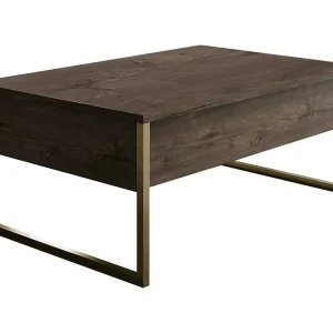 Dgiagnon Salontafel, Salontafel, Review Rack pEr bank, Woonkamerplank, 90x60h40 cm, Walnoot en Goud