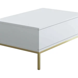 Dfiamozz Salontafel, Koffie Lage Tafel, Sofa Review Rack, Woonkamer Plank, 90x60h40 cm, Wit en Goud Dfiamozz Salontafel, Koffie Lage Tafel, Sofa Review Rack, Woonkamer Plank, 90x60h40 cm, Wit en Goud