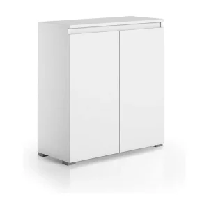 Dballarin Schoenenrek, Multifunctioneel Mobiel,2-deurs ruimtebesparend schoenenrek, Opbergkast met planken, 100% Made in Italy, 80x37h102 cm, Wit