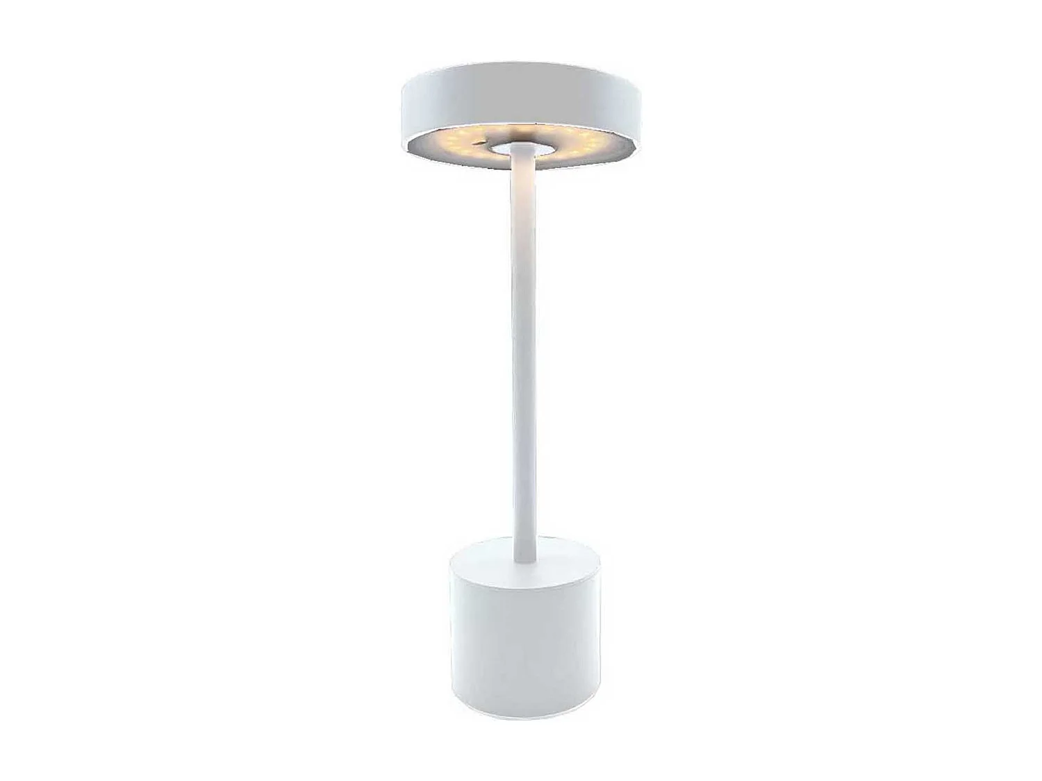 Draadloze tafellamp H30CM ROBY