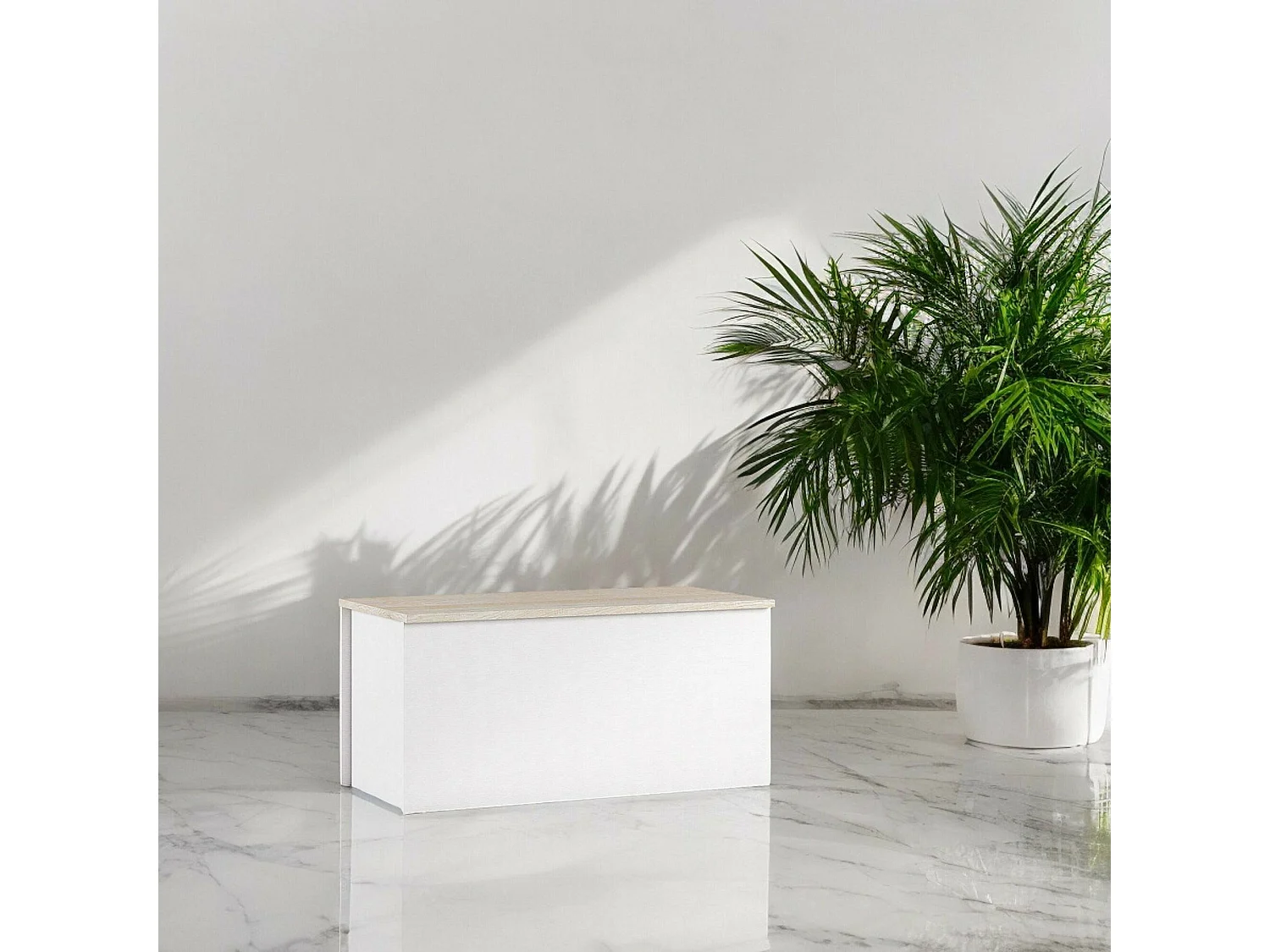 Dmora Kist Miltonia 45x90x45 cm Wit Soft Close, Draagvermogen 40 kg, Gevernist Hout, Made in Italy