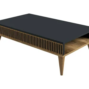 Dgiovinc-saaltafel, koffietafel, banktafel, aanrecht, aanrecht, 105x60h35 cm, walnoot en antraciet Dgiovinc-saaltafel, koffietafel, banktafel, aanrecht, aanrecht, 105x60h35 cm, walnoot en antraciet