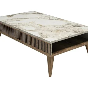 Dgiovinc Salontafel, Salontafel, Sofa Review Rack, Woonkamer Plank, 105x60h35 cm, Walnoot en Wit Dgiovinc Salontafel, Salontafel, Sofa Review Rack, Woonkamer Plank, 105x60h35 cm, Walnoot en Wit