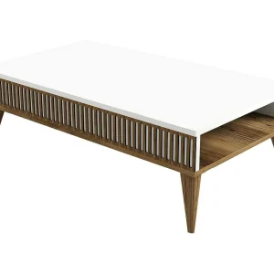 Dgiovinc Salontafel, Salontafel, Sofa Review Rack, Woonkamer Plank, 105x60h35 cm, Walnoot en Wit Dgiovinc Salontafel, Salontafel, Sofa Review Rack, Woonkamer Plank, 105x60h35 cm, Walnoot en Wit