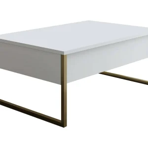 Dgiagnon Salontafel, Koffie Lage Tafel, Sofa Review Rack, Woonkamer Plank, 90x60h40 cm, Wit en Goud