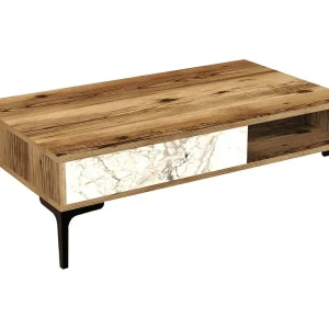 Djagiell Salontafel, Salontafel, Sofa Review Rack, Woonkamer Plank, 105x60h33 cm, Walnoot en Wit