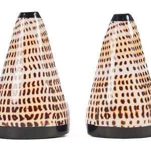 De Salt & Peppa Shell – Set Van 2 De Salt & Peppa Shell – Set Van 2