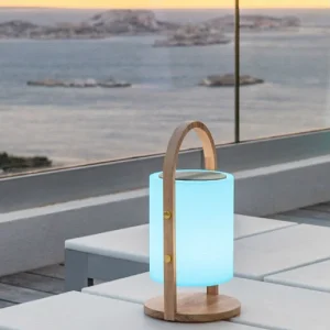 Draadloze Bluetooth-luidsprekerlamp 10W WOODY Draadloze Bluetooth-luidsprekerlamp 10W WOODY