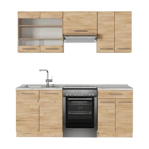 Complete keukeneenheid krachtige eik goud 200x60x81.6 fame-line