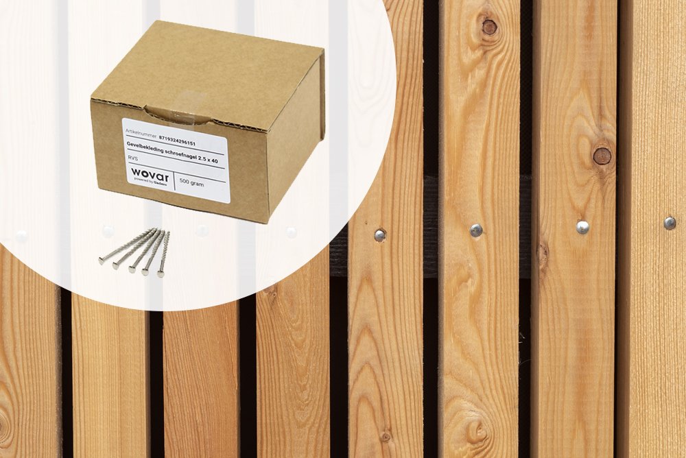 Bolkop schroefnagels RVS voor gevelbekleding 3.2x55mm – 500 gram