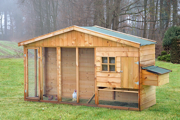 Kip / Vogel / Konijnen verblijf 302x90x180cm