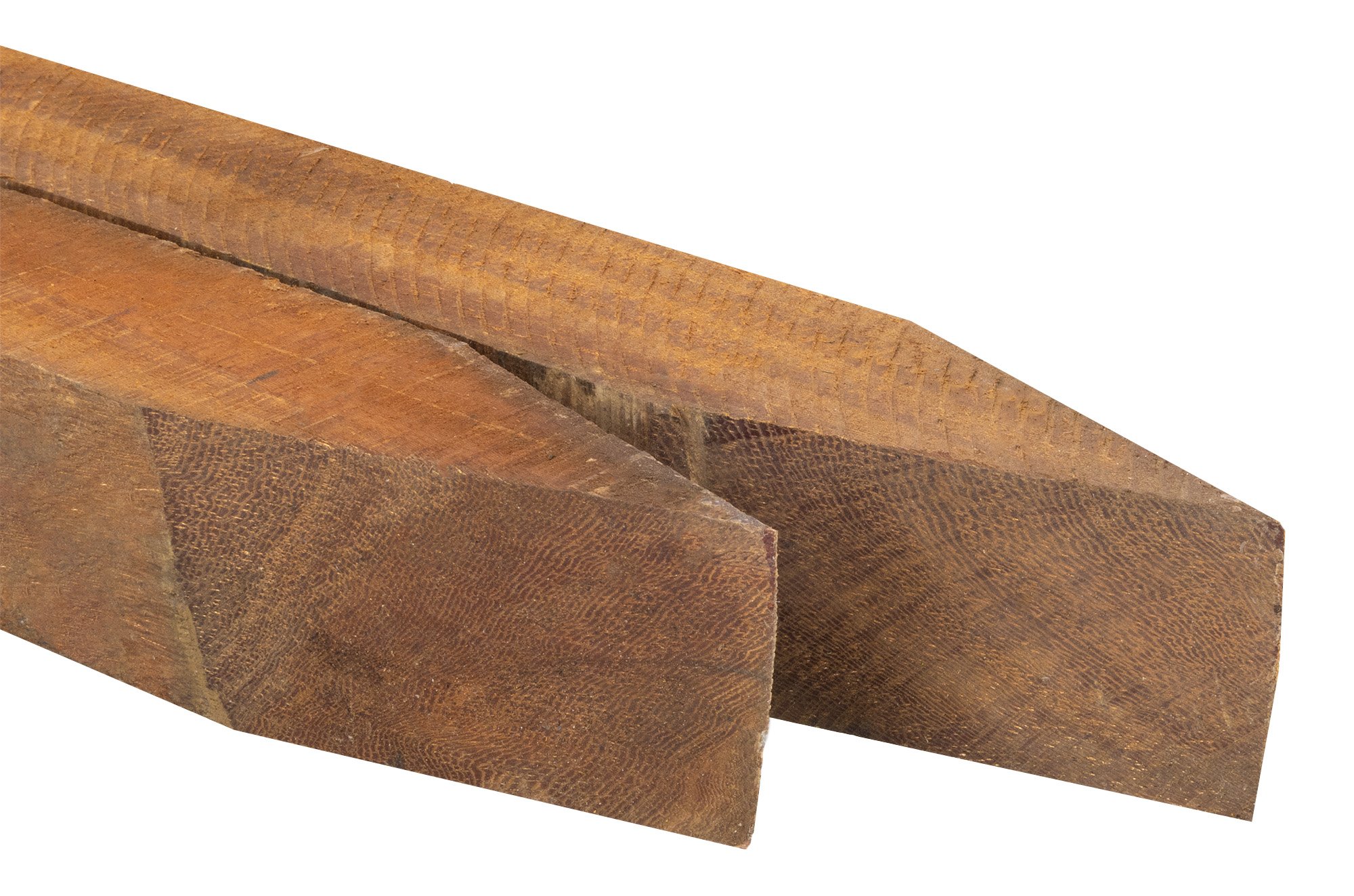 Paal Hardhout 7x7cm