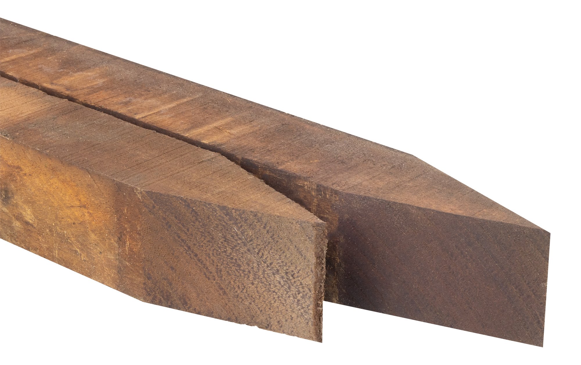 Paal Hardhout 6x6cm